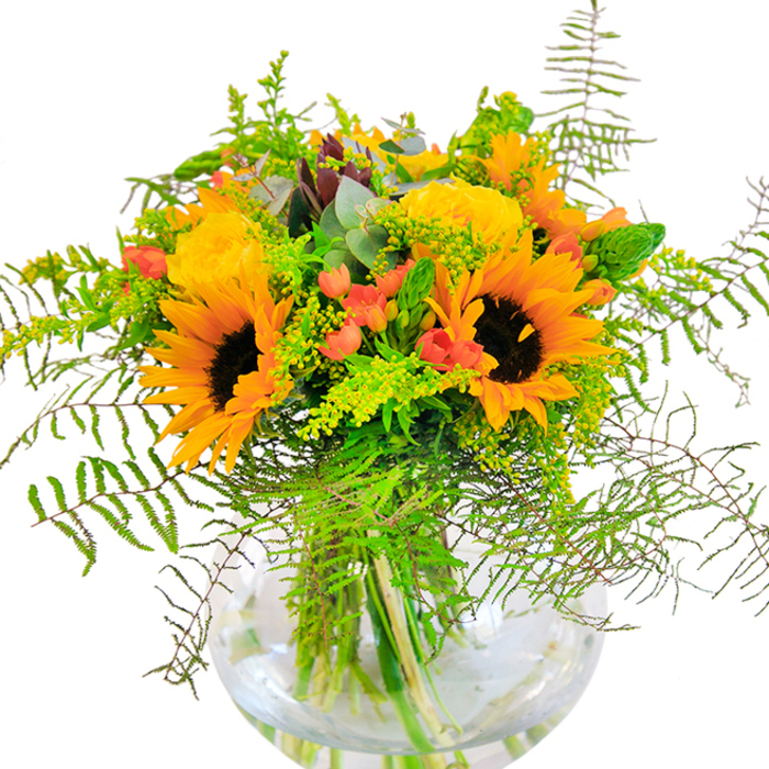 From the first glance, this bouquet exudes the brightness and warmth of a golden afternoon in Stanmore. Bold sunflowers with plush, yellow-gold petals and rich chocolate centres open in jubilant layers, surrounded by buttery yellow garden roses, their petals curling in flawless spirals. The display is packed with visual interest: glossy red Hypericum berries gleam like rubies tucked between the softer petals and deep green leaves. The energetic arrangement is softened by trailing, feathery fern fronds and airy stems of pale green filler-perhaps goldenrod topped with fine, sunlit blooms-mirroring the wild yet harmonious character of Stanmore's parks and common grounds. Slender spikes and the faintly silvery blue-green of eucalyptus leaves peek through, lending a hint of rustic contemporary charm. Every stem rests in water, visible through the clear glass vase reminiscent of a crystal orb, allowing the arrangement's architecture to shine. If you lean in, a gentle medley of scents greets you: the softest traces of rose, fresh earth, and crushed leaves mix in the air. Sunlight glances off the petals, and shadows are cast across the table, enhancing every detail. This bouquet is perfect for life's joyful milestones-a birthday, a cherished anniversary, or moments of celebration with loved ones in Stanmore-channelling the artistry and vibrant spirit of local florists.