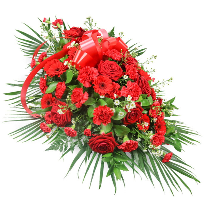 A striking red funeral spray is presented against a simple white background, making each bloom and leaf clearly visible and emphasising the skill of a local Stanmore florist. The design sweeps lengthwise in a generous elongated shape, widest and most densely packed through the centre, then slimming gracefully toward each end, as if gently cradling a space of remembrance. The heart of the arrangement is filled with deep red roses, some fully open in luxurious spirals of velvety petals, others just beginning to unfurl, their tighter forms adding dimension. These are surrounded by clusters of red carnations whose frilled petals create a soft, cushioned texture, and by striking red gerbera daisies whose wide, flat faces and darker centres lend a contemporary contrast. Scattered amidst the intense reds are tiny white filler flowers - perhaps baby's breath or small chrysanthemum sprays - appearing like small clouds of light that lift and soften the overall composition. Near the top, a glossy red satin ribbon has been fashioned into a full, elegant bow, its loops plump and structured, with trailing streamers that weave down through the flowers like a ribbon of memory flowing through time. The entire spray is framed by generous palm fronds, their long, arched leaves fanning outward to create a noble outline reminiscent of the greenery you might notice in the gardens around Bentley Priory. Darker, denser foliage such as salal or ruscus fills in any gaps, while a few fern-like fronds add feathery detail. The mood of this arrangement is solemn but warm, ideal as a casket spray or front-of-venue tribute, expressing deep love, courage and remembrance for families gathering across Stanmore and nearby Harrow.