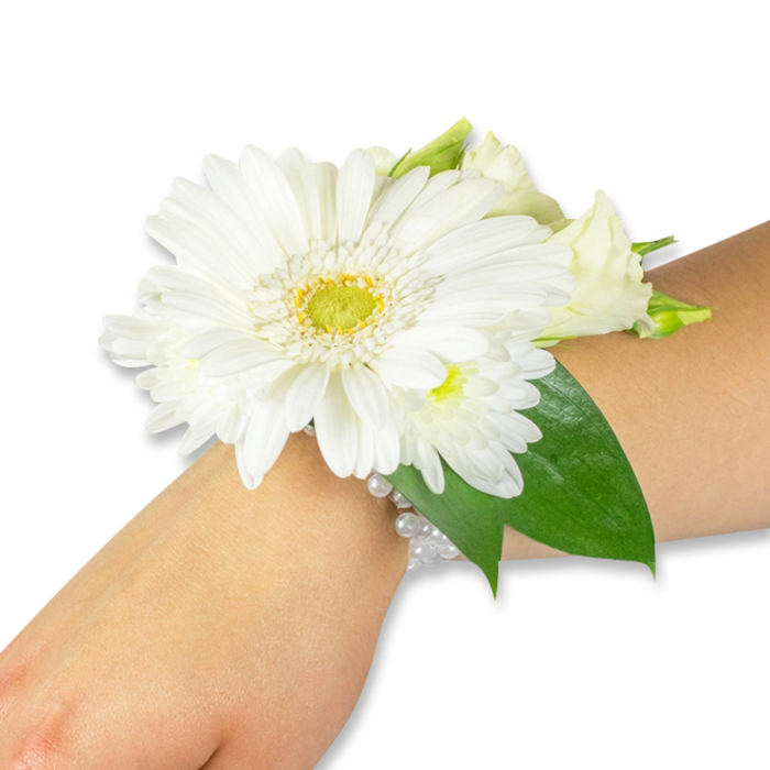 A refined white wrist corsage is shown on a forearm with fair skin, composed against a stark white studio backdrop so each element reads clearly. At its heart sits a large white Gerbera daisy with many clean, evenly spaced petals that sweep outward from a bright yellow-green central disc, the textured core adding a lively focal point. Gathered around this dominant bloom are clusters of small white chrysanthemum-like flowers and soft, creamy lisianthus buds, their layered petals lending a subtle, clouded texture and graceful movement. Behind and beneath the flowers, deep emerald green leaves-reminiscent of salal or Ruscus-fan outward to frame the cluster and provide a natural, grounded contrast that accentuates the purity of the whites. The floral cluster is attached to the wrist with a delicate, multi-strand band of pearl beads; the pearls glow faintly under the light and sit comfortably against the skin, lending a touch of vintage elegance. The composition is photographed with soft, directional lighting that brings out fine petal veins and the gentle sheen on the foliage; one can almost sense the cool, green scent of freshly cut stems. Ideal for weddings, prom nights, graduations, or any formal celebration, this corsage reads as both classic and tranquil-an accessory that says quiet dignity and joyful ceremony. A local florist in Stanmore or near Bentley Priory Park might assemble such a piece on a calm morning before a service or social event, prioritising balance, freshness and wearable comfort.