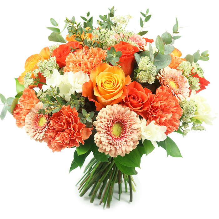 Set against a pristine white background, this luxurious hand-tied bouquet presents a harmonious blend of warm oranges, peaches and coral balanced with touches of white and cool green foliage. The arrangement is densely packed and perfectly rounded: several full, richly coloured roses provide strong focal points - a mix of fiery orange and softer golden-yellow blooms with petals arranged in tight spirals - while numerous coral and deep-orange carnations contribute a plush, ruffled texture that increases visual depth and volume. Interspersed gerbera daisies in soft peach and light orange reveal flat, open faces and subtle yellow-green centres that act as cheerful punctuation across the bouquet. Delicate clusters of small white filler flowers, possibly freesia or tiny spray blooms, scatter like sparks of light through the composition, adding moments of crisp white to offset the warmth. Sprigs of light-green, astrantia-like filler create a feathery, whimsical layer, and rounded eucalyptus leaves with silvery-grey tones are woven throughout to provide a cool, natural frame and a fragrant freshness.
The stems are gathered and bound at the base in a classic hand-tied style, making the bouquet ready for vase display or local delivery around Stanmore and neighbouring corners of Harrow. Crafted with a florist's eye for balance and texture, this arrangement conveys warmth, celebration and thoughtful care - ideal for birthdays, anniversaries or as a centrepiece that brings seasonal colour indoors. I picture it brightening a mantel in a home near Stanmore Broadway or being carried from a studio on Stanmore Hill to a grateful recipient, the bouquet's scent and tactile variety creating a small, memorable moment.