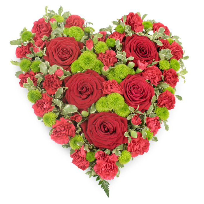 A lush, heart-shaped floral arrangement is displayed against a bright white background, its intense reds and sharp greens standing out in high contrast, like a vivid tribute prepared for a Stanmore memorial service. The heart is meticulously built from an abundance of flowers, with five or six large deep red roses serving as the main anchors. These roses, with their velvety petals intricately layered and gently opening from tight centres, offer a classic symbol of love and devotion. Around and between them, smaller red carnations are tightly packed, their ruffled petals creating a textured, almost quilted effect that covers the entire surface of the heart. This dense packing gives the impression of depth and fullness, as though the arrangement has been carefully shaped and pressed into its perfect form. Interspersed throughout are clusters of lime-green button chrysanthemums, their compact, rounded flower heads bringing a burst of lightness and contemporary flair. These green highlights keep the design from feeling too heavy, instead lending it an air of gentle optimism. Variegated foliage in tones of green and cream traces the outer curves and indents of the heart, framing the flowers and subtly reinforcing the iconic shape. At the lowest point, a small spray of fern-like greenery extends slightly, its fine, feathered leaves softening the edge. This composition feels both heartfelt and refined, well suited for placement at a funeral chapel near Stanmore station or beside a framed photograph in a family home overlooking Stanmore Common. The careful interplay of colour, texture, and structure creates a moving visual expression of lasting affection, remembrance, and quiet farewell.