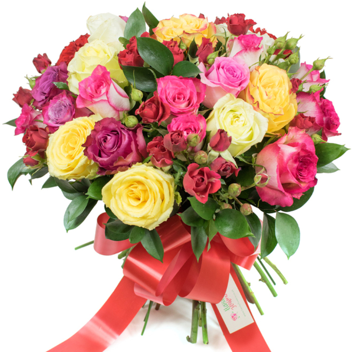 A lavish, skillfully assembled hand-tied bouquet of mixed roses, photographed against pure white to showcase its full colour range and texture. The arrangement forms a rounded, abundant dome composed of multiple rose types: broad, fully open hybrid tea roses in creamy ivory and radiant yellow; a lively spectrum of pinks from barely-there blush to bold fuchsia and magenta; and several striking bicolored pink-and-white petals that add a playful highlight. Deeper tones arrive through clusters of small, burgundy spray roses and tightly furled buds which provide depth and a sense of unfolding life. Throughout the bouquet glossy green leaves - likely ruscus or salal - weave between stems, their cool sheen amplifying the vibrancy of the flowers.
The stems are neatly bound and finished with a wide, festive red satin ribbon fashioned into an elegant bow with long, flowing tails that draw the eye downward; a small white tag bearing a stylised logo and the message Happy Holidays is slipped into the ribbon for a personal touch. Imagine this piece arriving on a crisp Stanmore morning, the petals luminous in shop light near Stanmore High Street or set as a warm centrepiece after a stroll by Bentley Priory. The composition balances colour, scent and tactile variety: satiny petals, compact sprays, fresh buds and glossy foliage combine to deliver an expert, emotive gift that speaks of celebration, love and thoughtful attention to seasonal detail.