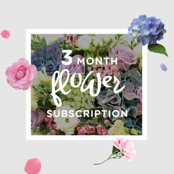 A beautifully balanced bouquet from a three-month flower subscription is arranged as if carefully placed on a sideboard in a Stanmore home, the sort of spot where guests might pause to admire it on their way to the sitting room. At the heart of the composition, full, rounded clusters of pastel blue hydrangea anchor the design, their tightly packed petals layering over one another like soft fabric, creating a sense of generous volume and gentle coolness. Tucked among these hydrangea heads, roses in shades of blush pink and dusky lilac emerge in romantic spirals, some blooms fully open and others still cradling their centres, hinting at the slow, graceful pace with which they will unfold over the coming days. Threaded elegantly between the roses, slender lisianthus stems stretch upwards and outwards, their frilled petals in muted lilac, cream, and white adding a light, fluttering texture, reminiscent of wildflowers swaying in the breeze across the open spaces near Stanmore Common. A ring of fresh foliage wraps around the flowers, the leaves varied in shape and shade, from soft, young greens to deeper, more established tones, grounding the pastel palette and adding a feeling of natural abundance. The lighting is soft and even, as though coming from a nearby window on a mild afternoon, catching the gentle sheen on each petal and drawing out the subtle gradients of colour. This image conveys not just a single bouquet, but the ongoing pleasure of a subscription: the expectation that, month after month, another carefully curated arrangement will arrive at a Stanmore address, quietly transforming everyday rooms into places of calm, fragrant beauty and offering a steady reminder of thoughtfulness and care.