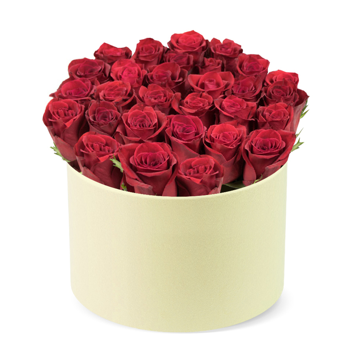 Elegant, round, and intensely romantic, this high-end red rose box is a testament to careful artistry. The display features approximately two dozen deep red roses, their velvety petals tightly furled, packed into a round, pale cream box with a smooth, matte finish. The roses fill the cylinder completely, forming a lush dome that lifts just above the rim, a visual promise of abundance. A few hints of dark green leaves weave between the heads, adding freshness and depth to the monochrome crimson.

The container's cream tone and soft texture anchor the bouquet in luxury, while the clean white backdrop isolates the arrangement so every petal's texture-its satin gleam and velvet depth-reads clearly to the viewer. The overall mood is refined, ceremonial, and intimate, a perfect gift for anniversaries, Valentine's Day, or a milestone celebration. Delivered with the care of a local Stanmore florist, it's available for same-day delivery across NW London and nearby neighborhoods, offering freshness, reliability, and a sense of occasion that makes a strong impression. Designed to be gifted and remembered, this red rose box invites the recipient to take a breath, smile, and reflect on the moment.