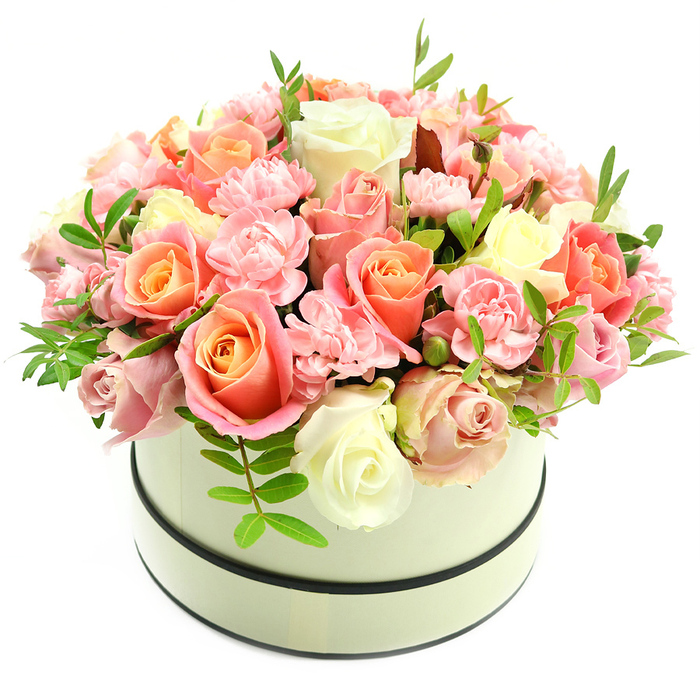 A luxurious, meticulously arranged floral composition presented in a round cream hatbox, photographed against a pristine white background that allows every hue and texture to speak. The hatbox is understated and chic, finished in a warm pale beige cream with a matte surface and accentuated by two slim dark bands around the rim and base, lending a designer contrast to the soft container. From this elegant vessel rises a lush, domed cluster of blooms: full, velvety roses in varying stages of openness display a warm coral-peach and apricot core which seamlessly transitions to delicate blush pink and finally to creamy ivory on the outer petals. Intermingled are abundant light-pink carnations, their ruffled edges creating a fine, tactile lace that adds depth and volume without overwhelming the roses. Delicate sprigs of fresh, bright green foliage - small, elongated leaves - are sparingly placed to provide airy breathing space and lively highlights among the pastels. Soft studio or morning light caresses the arrangement, emphasizing petal sheen and shadow, and giving the bouquet an inviting, almost touchable presence. This design reads as a premium, heartfelt gift: romantic enough for Valentine's Day, tender for Mother's Day, joyful for an anniversary, or thoughtful as a 'new home' or congratulations bouquet. Crafted with neighbourhood knowledge and care - the kind of arrangement you'd expect from Flower Delivery Stanmore - it reflects local floral expertise, seasonal freshness and a tasteful balance of colour and form that suits special moments across Stanmore, from the High Street to walks around Stanmore Common.