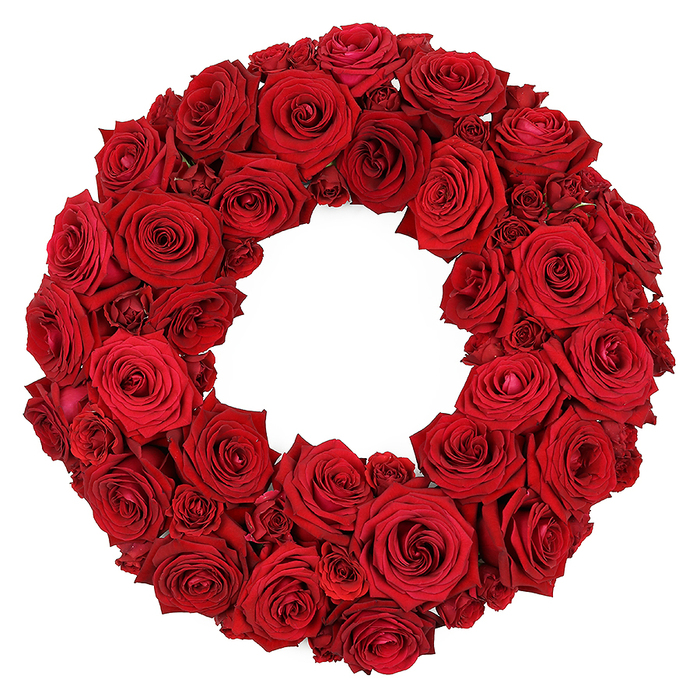 An arresting red rose wreath, densely packed from dozens of fresh deep red roses, stands out against a stark white background. The main body is built from large, fully opened heads with velvety petals, their spiraling centers catching light and drawing the eye inward. Interspersed are smaller, partially opened roses and tightly clustered mini blooms that fill gaps and lend depth to the arrangement. The exquisite detail of each petal is visible, a testament to careful pruning and precise placement by a Stanmore team that treats every stem as part of a larger composition. The ruby tones carry powerful symbolism-love, passion, respect, remembrance, and sympathy-making it apt for romantic gestures, memorial services, or refined home décor. This striking design would grace a doorway, a hall table, or a service as a tasteful tribute in Stanmore, and is ready for same-day delivery across HA7 by a dedicated local florist. The white backdrop keeps the focus on the intense red, while the wreath's round form suggests continuity and lasting connection, as if every bloom helps weave a shared memory for those who see it.