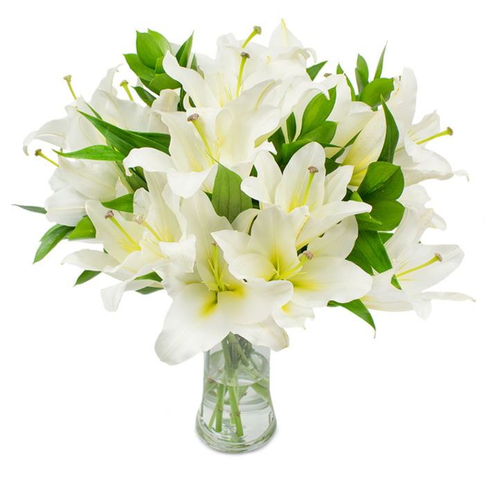 An abundant cluster of white lilies fills the frame, artfully arranged in a simple, transparent glass vase and set before a pristine white backdrop. Each large, trumpet-shaped flower displays multiple smooth, overlapping petals of clean white, some revealing a subtle cream or pale yellow near the throat that lends the bouquet a soft inner glow. The central stamens project with delicate authority-slender, pale greenish-yellow filaments bearing subtle brown anthers-offering a fine, organic texture against the petals' softness. Interspersed among the blooms are long, dark green leaves with a glossy finish that enrich the composition's depth and make the white blossoms read even brighter. The vase's clear water lets the straight, trimmed stems be visible, their pale green tones and slight translucence suggesting fresh, attentive care. In tone this arrangement conveys serenity and solemn grace; I imagine it placed on a low mantel in a Stanmore home or accompanying a quiet service near Stanmore Tube, its scent gentle and reassuring. The lighting is neutral and even, allowing every curve and shadow on the petals to be legible and lending the bouquet an almost sculptural clarity. Whether intended as a memorial tribute, a gesture of sympathy, or an elegant, understated centrepiece for a formal gathering, the lilies' pristine condition and lush greenery express purity, calm, and heartfelt intent without fuss. The overall impression is one of considered craftsmanship: each bloom positioned to speak of stillness, refinement, and respectful beauty.