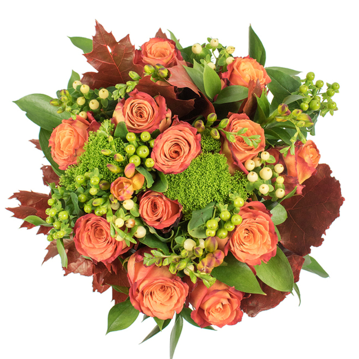 From a top-down perspective this autumnal arrangement presents itself as a lush, circular study in colour and texture, each flower and leaf placed with floral craft and seasonal feeling. The composition is led by large, fully bloomed roses whose petals graduate through honeyed peach, coral-orange, and russet tones, forming layered spirals that hold the eye. Between the petals, clusters of Hypericum berries appear in two complementary shades-vivid lime-green and a creamy pale yellow-adding glossy, bead-like accents that catch small pools of light. Clumps of Green Trick dianthus provide a dense, almost sculptural green that resembles soft moss or compact velvet, giving the bouquet unexpected tactile interest and a modern textural twist. Scattered throughout are broad, lush leaves in fresh deep green, which anchor the blooms, while the inclusion of dark reddish-brown, lobed leaves-reminiscent of late-season maple or oak-introduces that unmistakable autumnal echo of fallen leaves. The lighting is gentle and even, revealing velvety petal surfaces and the satiny sheen of the foliage, while a subtle earthy fragrance of rose and green stems suggests early-morning walks through Stanmore's parks. This arrangement is designed to bring seasonal warmth to a dining table, act as a thoughtful housewarming gift, or to mark harvest-time celebrations with a sense of comfort and abundance; it reads like a floral homage to a crisp day on Stanmore Broadway and the leafy quiet near the tube station.