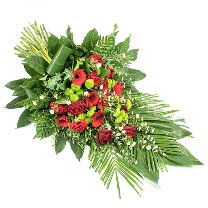 Against a clean, white backdrop, this elegant funeral spray appears almost like a painting done in deep red and fresh green tones, the kind of refined tribute that would not look out of place in a Stanmore church or crematorium chapel. The arrangement is long and slightly tapered, shaped into a flowing teardrop that feels both structured and softly organic. In the centre lies a generous grouping of dark red blooms: classic roses with velvety petals, several vibrant gerbera daisies with dark, velvety centres, and gently ruffled carnations that echo the same rich hue. Some roses are tightly closed, others partially unfurled, suggesting both the intensity of recent grief and the gradual unfolding of cherished memories. Nestled among these red flowers are clusters of lime-green button chrysanthemums, their neat, spherical forms and bright colour bringing a contemporary energy and lifting the mood just enough to feel hopeful without losing the sense of reverence. Scattered throughout are tiny white filler blossoms, reminiscent of mini daisies or gypsophila, which cast a light, cloud-like softness over the stronger colours. Surrounding the blooms is a lush collar of foliage: glossy dark green leaves provide substance and support, while finely cut fern and other textured greens add depth and gentle movement. At the lower right, elegant, long palm-like leaves extend outward in a graceful fan, emphasising the elongated silhouette. At the upper left corner, a compact bundle of upright green stems, carefully tied and partly wrapped with a single broad leaf, introduces a sculptural element that feels distinctly modern and expertly crafted. The spray, overall, communicates deep respect and quiet comfort, making it a fitting floral expression of sympathy for services in and around Stanmore.