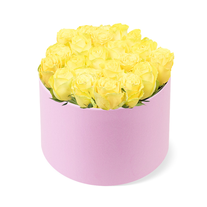A lush cluster of yellow roses spills gently over the top of a pastel pink hat box, creating a luxurious, modern floral design that feels perfectly suited to the calm, leafy character of Stanmore. The cylindrical box, finished in a soft, matte blush tone, suggests the feel of velvet or suede beneath your fingers-smooth, slightly textured, and quietly indulgent. Above its rim, around two dozen fresh yellow roses are arranged in a dense, domed formation, each bloom placed with precision so their heads sit close, forming a rich tapestry of petals. The roses themselves are full and velvety, their petals curling outward from tight, buttery centres into broader strokes of sunshine yellow, with subtle variations in shade that give the arrangement depth and movement. Here and there, slender hints of green foliage peek from between the flowers, adding contrast and a reminder of the garden origins of these blooms. The photograph is taken against a pure white background, bathed in soft, balanced light that keeps every detail clear-no harsh shadows, just gentle definition along the edges of petals and the smooth curve of the hat box. The effect is serene yet celebratory, evoking feelings of joy, friendship, and new beginnings. This kind of design would be ideal for same-day delivery across Stanmore, whether to brighten a family gathering near Stanmore Country Park, mark an anniversary close to Whitchurch Lane, or offer a thoughtful get well soon to someone resting at home. It feels like a gift chosen with care and an eye for understated luxury.