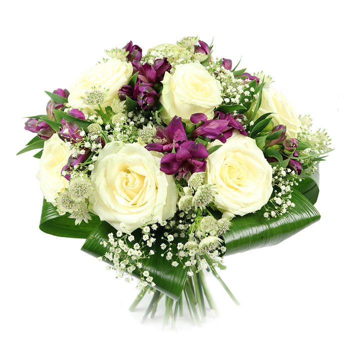 Captured in crisp detail against a bright white backdrop, this bouquet radiates carefully considered harmony, much like a well-tended Stanmore garden viewed on a clear afternoon. The central feature is a generous cluster of large, creamy white roses, each bloom fully open to reveal concentric layers of petals spiralling toward a soft core. Their smooth, velvety surfaces and subtle warm undertones suggest freshness and a sense of quiet luxury. Weaving through these roses are deep purple to magenta alstroemeria, sometimes called Peruvian lilies, whose trumpet-shaped flowers fan out gracefully. Their petals, lightly streaked and slightly ruffled at the edges, introduce both a bolder colour contrast and a gentle sense of movement, as if the bouquet were gently expanding from the centre. Fine stems of white baby's breath are dispersed liberally among the larger blooms, forming delicate, cloud-like clusters that fill in the gaps and lend an airy, ethereal texture. Tucked between these elements, small green-white astrantia flowers appear like tiny stars, their structured bracts and clustered centres adding understated interest and a natural, meadow-like charm that feels at home in the quieter cul-de-sacs off Stanmore Hill. The entire arrangement is framed by broad, glossy aspidistra leaves wrapped neatly around the base to create a smooth, sculptural collar of deep green. This foliage provides a strong, modern outline for the softer flowers above and anchors the composition visually. Beneath the collar, the stems are aligned and cut evenly, forming a tidy hand-tied bundle suggesting readiness for delivery across Stanmore. The lighting is bright and even, enhancing the creamy whites, the rich purples, and the shine on the leaves while keeping shadows minimal. The mood conveyed is one of serene sophistication, suitable for anniversaries, sympathy tributes, or a special gift for a home near Canons Park or Belmont.