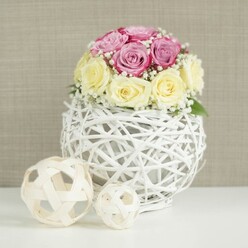 A romantic rose centerpiece sits poised on a clean white surface, captured in gentle, even light that gives it a calm, almost bridal elegance, much like a table set for a reception near Stanmore station. The flowers are arranged in a compact, domed cluster, with roughly a dozen roses nestled closely together. Half of the blooms are a tender pastel pink with a slight lavender hue, while the rest glow in soft buttercream and ivory, the colours mingling to create a soothing, sophisticated palette. Each rose displays its own personality: some buds curl tightly in on themselves, while others open more generously, revealing spirals of velvety petals that seem almost touchable. Throughout the bouquet, fine sprays of white baby's breath weave between the roses, their tiny blossoms and slender stems introducing a hazy, ethereal texture that lightens the overall feel. The arrangement is set into a striking spherical vase formed from thin white twigs or wicker, elegantly intertwined into an open, airy cage. This globe-like structure sits solidly on the white tabletop, its shadows casting gentle patterns that add depth without overwhelming the scene. To the left, two decorative balls made from pale, natural wood strips echo the open-weave motif of the main vase, with one larger and one smaller creating a subtle rhythm. The backdrop is a warm beige or light taupe wall, its faint textile-like texture soft and unobtrusive, reminiscent of tasteful interiors around Marsh Lane or Gordon Avenue. The composition suggests a centerpiece chosen for a chic wedding, engagement party, or intimate celebration, the kind of design a Stanmore florist might recommend when understated romance and refined simplicity are the priority.