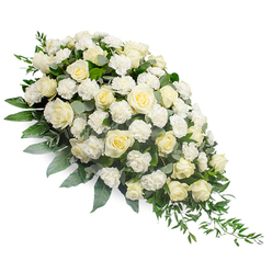An elegant funeral spray in shades of white and cream lies diagonally across a spotless white background, arranged in a refined crescent that is lush at one end and tapers gracefully to a slender, trailing finish. At the core of the design, numerous white and ivory roses are arranged closely together, some petals still held in tight buds while others have opened fully into layered, spiral centres that draw the eye inward. Between the roses, white carnations with softly ruffled edges form a delicate, cushion-like texture, giving the impression of a gentle, billowing cloud of blooms. The flowers rest upon a rich bed of foliage: deep green leaves underpin the shape, while muted, silvery eucalyptus leaves add a cool, serene note and contrast beautifully with the creamy petals. From the narrow, lower edge, strands of ruscus and similar trailing greenery extend downward in a loose, natural cascade, emphasizing the teardrop outline associated with traditional sympathy tributes. Light falls evenly across the arrangement, enhancing subtle variations in tone-from bright white highlights to creamy shadows-and revealing the fine veins in the leaves. This tranquil, dignified spray feels perfectly suited to a farewell service in Stanmore, whether placed in a quiet corner of a chapel near Stanmore station or brought to a memorial gathering close to Bentley Priory. Designed with sensitivity and skilled craftsmanship, it offers a silent expression of condolence, honoring a life with purity, calm, and understated elegance.