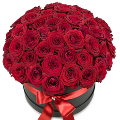 A romantic spectacle rises from a chic matte black hatbox, each detail lovingly assembled by Stanmore's expert local florists. Scores of rich red roses, their velvety petals tightly packed and brimming with intensity, create a plush, domed presentation that spills over the rim in a cascade of passionate colour. Some of the blooms remain curled in elegant secrecy, while others have begun to reveal their inner spirals, each petal catching soft, natural light and casting gentle shadows. A glossy, wide satin ribbon in deep red wraps around the perimeter of the box, knotted into a lush bow that shimmers at the front, the center highlighted by a small, sparkling crystal accent reminiscent of Stanmore's refined touches. The contrast of vibrant roses and matte black set against a clean white background captures the essence of luxury and devotion, making this arrangement ideal for romantic milestones or as a lavish Valentine's gift. With every rose arranged for maximum fullness and impact, this bouquet radiates the warmth and premium quality that Stanmore's floral community is known for.