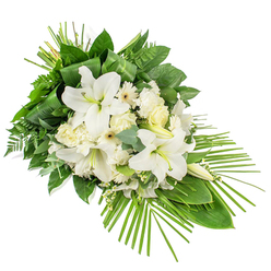An elongated sympathy spray in shades of white and green lies diagonally across a crisp white backdrop, evoking a peaceful, contemplative mood. At the centre of the design, white lilies unfurl generously, their broad petals forming open trumpets that reveal pale stamens dusted with pollen, while a few upright buds hint at blooms yet to open. Tucked in around them are clusters of creamy white roses, from small, tightly furled buds to more open flowers with layered, velvety petals, paired with ruffled white carnations that fill the spaces between. Simple, daisy-like white gerberas add a clean, graphic contrast with their neat petals and subtle cream or lemon-toned centres. Fine sprays of tiny white filler blossoms thread through the arrangement, like a light veil softening the scene. This cushion of flowers rests on a rich foundation of foliage: broad, glossy, dark green leaves offer depth; soft, feathery fern fronds introduce movement; and rounded eucalyptus leaves bring muted blue-green tones and a modern touch. Long, slender leaves are artfully looped near the top, adding an intentional, structured detail, while palm fronds fan out from the lower right in graceful lines, giving the entire piece a flowing, asymmetrical outline that gently tapers to a point. The restrained palette of white and green suggests purity, remembrance, and calm, reminiscent of a quiet walk through Stanmore's residential lanes towards the edges of Bentley Priory Nature Reserve. Intended as a front-facing funeral or memorial arrangement, this spray would be fitting beside a coffin, at the front of a service, or placed at a graveside as a thoughtful expression of sympathy within the Stanmore community.