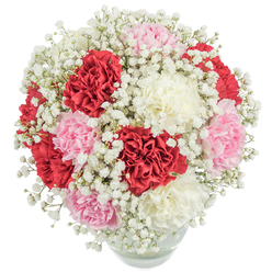 Crafted by a Stanmore florist inspired by the area's elegant homes and leafy avenues, this bouquet brings together the sumptuous beauty of layered carnations in deep scarlet, gentle blush, and classic ivory. The blossoms are nestled in a tastefully rounded glass vase, topped with a profusion of soft, ruffled petals that invite the fingertips to linger. Weaving through the carnations are countless fine sprays of baby's breath, their snowy clusters lending the whole arrangement a weightless, almost starlit effect-much like dawn mist over Stanmore's Canons Park. The balanced, harmonious palette and artful density speak of thoughtful craftsmanship, each bloom positioned with care to create unity and fullness. Below, the stems stand in clear, refreshing water, visible through the elegant vase and grounding the bouquet's airy design. Bathed in natural, bright illumination against a spotless background, the colours radiate purity and joy. This floral masterpiece conveys heartfelt emotion-ideal for special occasions, from intimate dinner parties near Stanmore Broadway to surprise celebrations. It's a bouquet that would make any moment memorable, embodying the warmth and grace of Stanmore's vibrant community.