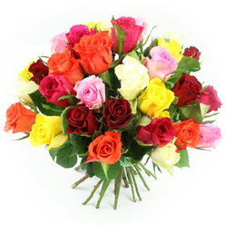 A hand-tied dome of roses fills the image, standing out vividly against a clean white background that enhances every shade and detail. The bouquet has a rounded, almost cloud-like shape, packed generously with rose blooms that appear freshly gathered and artfully placed, as if arranged that morning by a seasoned florist in Stanmore. The colour range is rich and lively: deep crimson and ruby reds are interwoven with glowing orange and tangerine tones, bright golden yellows, and bold fuchsia roses. Nestled among these are softer notes of blush and pastel pink, along with gentle cream and ivory blooms that bring a subtle elegance to the mix. Each flower displays its layers of silky petals, some blossoms fully open to show their spiralled hearts, while others are still curling inward, promising more colour to come in the days ahead. Pockets of dark green leaves and stems thread through the bouquet, giving it structure and contrast, much like the pockets of greenery dotted around Stanmore's residential streets and nearby Bentley Priory nature reserve. At the base, the straight green stems are gathered neatly and secured with a charming green-and-white checkered ribbon, suggesting a bouquet ready for gifting, perhaps as a surprise delivery to a home near Church Road or Stanmore Station. Soft, bright lighting reveals the velvety texture of the petals and the glossy sheen of the foliage without creating harsh shadows, keeping the focus firmly on the vibrant roses. The mood is undeniably joyful and celebratory, capturing the essence of a versatile bouquet that can express love, appreciation, or congratulations for any special moment in Stanmore.