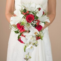 Within a softly blurred, sun-dappled setting that brings to mind early afternoons in Stanmore, a bride's arms and torso are partially visible as she holds an exquisite, flowing bouquet. This masterpiece immediately commands attention-white lilies in full bloom, their creamy petals and golden stamens embodying purity and promise, dominate the top of the arrangement. Flowing beneath, cascades of elegant white phalaenopsis orchids trail down, their waxy petals and gentle arch reminiscent of the grand marriages celebrated near Stanmore Common. Vibrant red roses, lush and velvety, provide the bouquet's romantic heart, interspersed with festive hypericum berries that add bright splashes of red. Threaded throughout are delicate white gypsophila and tiny filler blossoms, infusing the creation with a cloud-like softness. Asparagus fern and a medley of green foliage create visual framework and movement, grounding the bouquet in the organic beauty associated with Stanmore's local gardens. The bride's pose and understated dress allow the florals to take centre stage, framed by a neutral beige background that enhances the bouquet's exuberant detail and colour. This arrangement, expertly crafted by Florist Delivery Stanmore, speaks to the area's refined sense of celebration-a radiant blend of classic and contemporary untouched in its artistry.