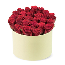 On a crisp white backdrop, this Stanmore bouquet embodies modern romance: dozens of deep red roses with velvet, tightly furled petals, arranged in a round pale cream box with a soft matte finish. The blooms are set in flawless symmetry, building a domed crown that fills the cylinder completely and rises slightly above the rim, like a ruby moon afloat in ivory. A whisper of dark green foliage threads through the centres, giving the arrangement a natural, garden-fresh edge that prevents the colour from feeling heavy.

The lighting is diffuse and gentle, sculpting the petals' edges and drawing out the satin sheen of each blossom. The box's muted ivory tone offers a quiet counterpoint to the intense red, reinforcing an air of contemporary elegance. This bouquet feels crafted for moments of deep affection-romantic milestones, birthdays, or a surprise that says you are cherished-with a touch of luxury that elevates any celebration. It's the kind of arrangement that travels well for Stanmore celebrations, available for reliable delivery across Canons Park, Kingsbury, and other NW London enclaves, ensuring freshness, punctual arrival, and pristine presentation. In the hands of a seasoned Stanmore florist, such a display becomes a personal message of love, crafted to delight the recipient and make the occasion extra special.