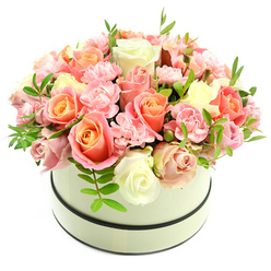 Imagine the sensation of petals brushing your fingertips: this carefully composed hatbox arrangement presents that feeling visually. A round, cream-coloured box with a soft matte finish and two narrow dark bands - one outlining the top, one near the base - holds a densely packed, domed bouquet arranged with a florist's precision. Large roses dominate, their centres a warm coral-peach or salmon that gradates outward to tender blush pink and finally to creamy ivory at the petal edges. Between these generous roses, clusters of delicate, ruffled light-pink carnations add intricate texture and a touch of playful movement, their frilly forms nesting into the gaps and softening the silhouette. Slim sprigs of vivid green foliage, with small lance-shaped leaves, peek through and provide a bright, living punctuation against the pastel palette. The composition is bathed in gentle, natural light that highlights the velvety surface of petals and the subtle shadows between blooms, giving depth and a sense of freshness as if the bouquet had been gathered that morning from a local Stanmore market stall. The overall mood is intimate and uplifting: suitable as a centrepiece for a cheery birthday brunch near Stanmore tube, a thoughtful anniversary gift for someone who walks in Stanmore Park, or simply a 'thinking of you' present to brighten a neighbour's day. Skilled craftsmanship is evident in the compact dome, the balanced colour transitions, and the restrained use of greenery - all hallmarks of a refined, modern floral design shaped by local sensibilities and seasonal care.