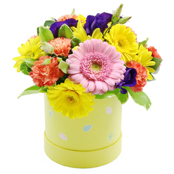 This Easter-inspired hatbox arrangement radiates spring cheer, captured against a clear white background as though it has just been placed on a Stanmore florist's display shelf. The flowers are arranged in a generous, domed cluster, forming a soft mound of colour with barely any gaps between stems. At the focal point sits a single large Gerbera in a delicate blush-pink tone, its finely layered petals curving neatly around a fresh, pale green centre, instantly drawing attention. Around this central flower, bright yellow daisy-like chrysanthemums stretch their slim petals outward, spreading a feeling of sunshine and happiness reminiscent of weekend strolls through Canons Park. Interlaced with the yellow tones, coral-orange carnations erupt in ruffled layers, their plush texture and warm hue providing depth and a comforting, familiar feel, like well-loved gardens in and around Stanmore. Deep violet lisianthus blooms and buds are tucked throughout the arrangement, adding pockets of rich colour that enhance the overall palette with a touch of elegance. Fresh greenery, including a few lightly variegated leaves, fills and frames the blooms, supporting the rounded silhouette and giving the display a lush, freshly picked character. The entire composition is gathered into a cylindrical hatbox in soft lime-yellow, whose sides are playfully decorated with small pastel Easter eggs in light blue, pink, and white, many patterned with subtle dots or stripes. This blend of cheerful flowers and whimsical container makes the design ideal for Easter lunches, spring birthdays, or uplifting get-well wishes, easily delivered across Stanmore and nearby neighbourhoods as a vivid reminder of longer days and new beginnings.