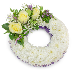 Presented on a pristine white background, this circular sympathy wreath reads as a study in calm: a full, uniform ring of small, snow-white chrysanthemums tightly arranged to create a velvety, tactile surface that suggests peaceful repose. A slender echo of purple netting or fine ribbon is visible beneath the chrysanthemum surface along the inner and outer edges, adding refined contrast and a hint of depth to the otherwise monochrome body. Placed thoughtfully at the upper-left curve, a cluster of three pale yellow roses opens softly, their scent faintly sweet and comforting against the cooler chrysanthemum perfume. They are encircled by clouds of white gypsophila, and dashes of lavender-hued statice bring a modest lift of colour, like the first gentle blooms seen in Stanmore gardens in spring. Various greens - from glossy salal-like leaves to feathery fern tips - cradle the floral accents, introducing texture and a sense of life to the memorial composition. The wreath maintains a perfect central void, symbolising continuity and the circle of life, while the balanced asymmetry of the rose spray provides a human touch. As with arrangements we craft for services around Stanmore Broadway or deliveries to homes near the station, this piece is designed to express steady sympathy and understated honour: a soft, respectful tribute that reads as both composed and lovingly prepared by experienced hands.