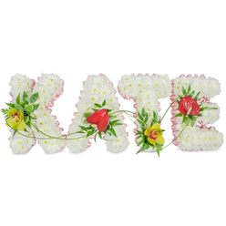 The image presents the name KATE rendered as a beautifully crafted floral display, resting against a plain white backdrop that highlights every petal, ribbon, and leaf. Each upright capital letter is built from tightly packed white chrysanthemums, giving the tribute a soft, velvety appearance that speaks of purity and peace. A light pink satin ribbon runs neatly along the outside edge of each letter, its gentle shine and slightly ruffled texture adding a subtle, affectionate warmth, almost like a soft embrace around the name. On the left of the K and anchored at the foot of the T, vivid yellow-green cymbidium orchids with red-brown centres emerge from the white flowers, framed by rich green foliage and whisper-fine ferns for a sense of depth and movement. The A and E are each adorned with a single, heart-shaped red anthurium, their glossy, waxen petals and central spadix gleaming with a deep crimson tone that hints at enduring love and heartfelt remembrance. Slender green tendrils weave and loop lightly across the letters, joining them visually and suggesting the threads of memory that link family and friends, whether they gather in a quiet Stanmore home, near Belmont Circle, or at a local chapel. The overall impression is refined and deeply personal, the kind of customised funeral flower tribute created with care by local Stanmore florists to honour a loved one named Kate with both beauty and sincerity.