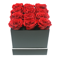 This image shows a luxurious square hatbox arrangement of twelve preserved red roses, styled with the same care a professional florist in Stanmore would bring to a special anniversary order. The roses are arranged tightly in three rows of four, filling the entire surface of the matte black box so that no gaps break the smooth expanse of crimson. Each bloom is fully open and symmetrical, the petals layered in generous, velvety spirals that appear soft enough to touch, with colour tones that fluctuate gently between dark cherry and vibrant scarlet where the gentle light falls. The box itself is a perfect square with clean, straight edges, finished in a sleek, non-reflective black that enhances the drama of the red blooms. A slender white band runs horizontally around the lower third of the box, providing a crisp, modern accent that suggests contemporary taste, much like the interiors of stylish homes near Stanmore Broadway or along London Road. The arrangement is photographed against an immaculate white background that strips away any distractions, leaving only the intense contrast of red, black, and white. Soft, even lighting bathes the scene, creating delicate shadows in the folds of each petal and along the box edges, which adds a sense of depth and realism without harsh highlights. The atmosphere is one of quiet luxury and deep emotion, evoking romantic gestures, heartfelt apologies, or elegant birthday surprises that could be delivered to a family home overlooking Canons Park, a townhouse near Belmont, or an apartment nestled close to Stanmore's green, tree-lined streets.