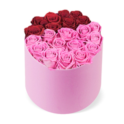 At Flower Delivery Stanmore, this arrangement speaks the language of modern romance in a quiet, confident voice. The soft pink velvet cylindrical hatbox cradles dozens of roses, each bloom fully open and arranged with exacting care so the surface reads as both lush and serene. The top portion features approximately a dozen deep crimson red roses, tracing a curved crescent that hints at a heart while keeping its mystery. The larger lower half floods the box with bright fuchsia pink roses, creating a luminous contrast that feels joyful and contemporary. The petals glisten with a rhythmic sheen, their edges curling inwards in tight spirals that reveal masterful handling and premium quality whether the flowers are fresh-cut for a vivid, fleeting bouquet or preserved for longer-lasting beauty. Set against a clean white background, the two-tone division reads as a deliberate artistic choice, a celebration of love, celebration, and refined taste. The arrangement arrives as a gift-ready centerpiece, ideal for Valentine's Day, anniversaries, birthdays, or a thoughtful gesture to brighten a home. The scent is delicate and uplifting, a soft garden note that lingers after delivery. In Stanmore and surrounding NW London communities, this piece travels with care, offered by Flower Delivery Stanmore for reliable, same-day delivery to Canons Park, Belmont, and other NW London neighbourhoods.