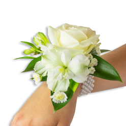 A refined white wrist corsage set against a bright white backdrop, composed to highlight texture, light, and graceful movement. The focal bloom is a creamy white rose, fully opened so its velvety petals form a soft, luminous cup that draws the eye. Beneath and slightly left of the rose, a larger trumpet-like white flower - suggesting alstroemeria or a small trumpet lily - reveals a faint lime-green throat that adds visual depth and a subtle tonal contrast to the arrangement. Scattered among these main flowers are fresh green buds, some tightly closed, bringing a sense of unfolding promise, and fine sprigs of gypsophila that float like breathy cloud over the composition. A cluster of petite daisy-style white florets with golden-yellow centres provides a delicate punctuation near the wrist. Several broad, deep green leaves with a glossy finish are woven through the arrangement, offering a rich backdrop that makes the whites feel purer and fresher. The corsage is fastened by a multi-strand faux-pearl bracelet, the cool, smooth beads looping comfortably and reflecting light with a soft pearly sheen. Close up, you can almost sense the light, clean fragrance of cut petals and green stems - a quiet, powdery scent that suggests early-morning blooms delivered from a neighbourhood stall. Designed with careful wiring and balance, this wristlet conveys classical elegance and practicality: wearable for a wedding, prom night, or civic celebration in Stanmore, where local deliveries and same-day requests often call for pieces that photograph beautifully and remain comfortable through long evenings.