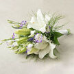 On a soft, neutral linen surface, arranged horizontally and photographed in gentle daylight, this bouquet presents a fresh, early-summer temperament. The scene is led by pristine white lilies, their trumpet-shaped faces opening boldly to reveal luminous, creamy throats, warm golden stamens and the tiny dark flecks that give each blossom character. Alongside them, several green buds sit reserved and expectant, promising stages of bloom to come. White lisianthus weave through the lilies; their ruffled petals bear a subtle lavender-purple wash or defined edge that creates a delicate, almost watercolor contrast against the dominant whites. Fine, feathery sprigs of foliage-soft as breath-move through the arrangement, while larger, deeper green leaves anchor the mass and add a reassuring weight.
Tiny clusters of baby's breath are woven through the bouquet like threads of mist, softening transitions and enhancing the airy composition. The stems are gathered to the right and secured with a crisp white satin ribbon, the tidy hand-tied finish lending the piece a modern yet timeless silhouette. Natural lighting sculpts soft shadows across the linen, allowing textures to read clearly and highlighting the florist's intent to balance fullness with lightness.
This bouquet carries a calming, restorative energy: suited to a serene gathering, a thoughtful gift, or as an elegant wedding choice. It communicates refinement without fuss, the work of someone attentive to proportion, scent and the tactile joy of fresh blooms.