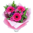 A lively, joyful bouquet captured against a clean white background, where three bold fuchsia-pink Gerbera daisies command the eye with their broad, radiating petals and dark, dramatic centres. Around them, soft lavender-pink roses-petals tightly furled and slightly dusty in tone-unfurl with a tender, velvety texture that invites touch. Sprays of tiny purple statice float between the larger blooms, their papery clusters adding delicate contrast and a cool note amid the warm pinks. Deep, glossy greenery-leaves that read like salal or eucalyptus-frames the composition, lending a fresh, slightly dewy scent and grounding the arrangement in natural fullness. The bouquet is lovingly wrapped: an inner layer of matte, pale-pink tissue cradles the stems while an outer sheet of sheer, crinkled fuchsia-pink cellophane adds a subtle shimmer that intensifies the colour story. The wrapping is hand-folded with care, and the tops of a clear glass vase peek out at the base, suggesting the flowers are ready for immediate display. Soft, diffused light picks out the velvety surfaces of the roses and the glossy sheen of the foliage, giving the whole piece a cheerful, uplifting presence. The scent is restrained and pleasing-roses offering a light perfume and the greenery a faint, green freshness. Perfect for birthdays, Mother's Day, anniversaries, or a simple 'thinking of you,' this arrangement would brighten a bedside table, a reception desk in Stanmore, or a windowsill bathed in morning light. As a local florist I imagine it arriving on Stanmore Park or Stanmore Broadway to lift someone's day with colour and care.