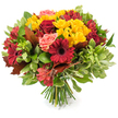 A hand-tied autumn bouquet captured against a clean white backdrop, rich with the warm colours of late fall and arranged with thoughtful florist craft. At the heart of the composition sit deep crimson gerbera daisies - their broad, velvety petals and darker centers forming bold focal points - paired with velvety burgundy-red roses, some opening into layered rosettes and others held as tight, elegant buds. Scattered among these are clusters of bright yellow spray chrysanthemums, their small, sunlit petals creating lively, textured pockets of contrast that lift the arrangement. Gentle coral-pink garden roses and peach-hued blooms soften the palette, adding a tender blush between the stronger reds and yellows, while slender red-and-orange alstroemeria provide a star-like punctuation with their delicate, lightly speckled petals. The blooms are set into a generous framework of glossy dark green foliage and paler variegated leaves that add volume and a crisp, living backdrop. Interwoven for seasonal accent are several large reddish-brown and bronze-toned autumn leaves - reminiscent of oak and maple - which introduce a rustic, tactile signature and hint at fallen walks through Stanmore Park on a cool morning. The stems are neatly gathered and visible as a fresh, green bundle at the base, a clear sign of a classic hand-tied technique that makes the bouquet easy to hold or style as a centrepiece. Under soft, natural light the petals appear almost translucent, their textures inviting touch; the overall mood is celebratory yet comforting, ideal for harvest dinners, Thanksgiving tables, or as a warm, thoughtful gift that brings the spirit of Stanmore's autumn indoors.