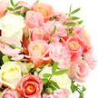 This close-up image captures a softly romantic bouquet that feels perfectly at home in Stanmore, filled with roses and carnations in a palette reminiscent of early morning light over Canons Park. The roses are tightly grouped, their petals unfolding in fine, velvety layers that shift from ivory and creamy white to tender pink, warm peach, and mellow coral, creating a sense of depth and warmth. Between them nestle smaller pink carnation blooms, each one composed of dozens of tiny, ruffled petals that add a fluttering, lace-like texture to the arrangement. Slender, rich green leaves slip in and out of view among the blossoms, giving structure and a garden-fresh feeling, as if the bouquet had just been finished in a Stanmore florist's workshop and set down for a moment of admiration. A scattering of buds, still largely closed, hints that more colour and fragrance will reveal themselves over time. The entire bouquet is shown against a crisp white background, similar to the soft light in a modern Stanmore home, allowing each hue, shadow, and outline to be clearly seen without distraction. The mood is gentle, hopeful, and quietly joyful, making this bouquet ideal for celebrating a birthday near Stanmore Hill, marking an anniversary shared in a flat off Marsh Lane, or offering a tender note of sympathy. You can imagine a faint, sweet fragrance of fresh garden roses and carnations filling the air, bringing a sense of comfort, renewal, and thoughtful care from a local florist who understands the emotions behind every delivery.