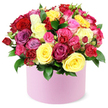From a seasoned florist serving Stanmore and the surrounding NW London neighbourhoods, this vibrant bouquet unfolds from a round light pink hat box, a compact sculpture of colour and life. Dozens of roses in a chorus of hues-crimson red, sunny yellow, fuchsia, pale pink, magenta, lavender, and creamy white-are densely packed, forming a lush domed crown that spills slightly over the box's edge. Within the sea of petals, blooms vary in size: some are fully opened with velvet petals unfurling in soft spirals, others are tighter spray roses or gentle buds, adding rhythm and texture. Dark green, glossy leaves peek between the blossoms, heightening the bouquet's freshness and depth. The pastel pink cylindrical box has a smooth matte finish, a modern frame that lets the riot of colour breathe. The arrangement rests against a clean white background, so every shade stands out as if lit from within. This rose box is the kind of gift that marks birthdays, anniversaries, Mother's Day, or Valentine's Day, a statement of affection and celebration. In Stanmore, it becomes a thoughtful surprise on a kitchen table in Canons Park or at a doorstep along Edgware Road's quiet streets, delivered with care by Flower Delivery Stanmore for same-day options.
