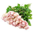 A horizontal bundle of about two dozen blush pink roses is gently laid across a brilliant white backdrop, evoking a moment of stillness you might find in a quiet Stanmore sitting room after a condolence visit. The bouquet is heaviest at the lower left, where the rose heads form a thick, luxurious cluster of petals. Each bloom showcases a soft palette that moves from pale, shell-like pink on the outermost petals to more muted, dusty rose and faint lavender suggestions near the centres, where the petals spiral inward in delicate, controlled coils. Some roses remain tightly composed, almost bud-like in their reserve, while others have relaxed a little more, their velvety layers opening to reveal intricate, whorled interiors that suggest gentleness and compassion. The petals have a soft, almost satin-like texture, with edges that curl slightly and catch the light. From behind this pastel mass, a fan of long, straight green stems extends toward the upper right of the image. Along these stems, numerous dark green leaves provide structure and contrast, their rich colour and subtle shine grounding the airy pinks against the stark white background. The lighting is even and bright, allowing every fold, curve, and vein to show without distraction, creating a calm, contemplative scene. This image feels particularly suited to sympathy and remembrance, reflecting the kind of thoughtful bouquet Flower Delivery Stanmore might prepare for deliveries to homes near Stanmore station, local synagogues, or quiet streets off Uxbridge Road, bringing a touch of soft beauty and solace when words are hard to find.