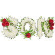 A tender, handcrafted funeral tribute spells the letters SON in bold, capital form, each letter composed of a dense, pillow-like carpet of small white spray chrysanthemums that give the piece a soft, reverent texture. The pristine white blooms read as quiet and pure against a bright white backdrop, catching a cool, natural light that highlights the tiny petal details and the gentle, faintly sweet scent that chrysanthemums often carry. Winding through and around each letter are glossy green ivy trails and dark, feathery fern fronds that add depth and a suggestion of evergreen memory; the ivy threads along the curves and angles like a living frame. Poignant pops of deep, velvety red roses punctuate the design: a tight trio nestles into the upper left curve of the S, a single, prominent red rose sits at the base center of the O with delicate fern accents, and another vertical cluster of three roses decorates the right side of the N. The contrast between pure white, rich red, and lush green creates a visual language of purity, passionate love, and enduring remembrance. Presented against a clean studio-white background, the arrangement reads as both artful and solemn - the kind of personalised grief offering families might choose for a burial service, graveside tribute, or wake. As a local Stanmore florist might note, this composition blends traditional sympathy symbolism with careful craftsmanship: soft texture, measured colour contrast, and a quietly reverent silhouette designed to honour the memory of a son with dignity and heartfelt care.