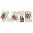A serene standing tribute spells out KATE in four freestanding, three-dimensional letters crafted from a dense carpet of pristine white chrysanthemums. The surface of each letter reads as a soft, snow-like texture under a gentle studio light, the tiny petals packed so closely they form a plush, clouded relief you can almost feel with your fingertips. Each letter is traced along its edges and inner curves with a pale pink satin ribbon that catches the light, giving the white chrysanthemum ground a faint rosy halo and a tender, ribbon-soft outline.
Clusters of accent blooms punctuate the composition with deliberate grace: velvety fuchsia-pink roses form the focal points, while smaller pastel pink spray roses and delicate purple-blue sprigs - likely statice or lisianthus - provide cool contrast and fine, twinkling colour. Lush green foliage, from feathery fern fronds to smooth eucalyptus leaves, frames and lifts these clusters, adding depth, movement, and a fresh, herbal scent that offsets the sweeter rose perfume. On the K a bold diagonal cluster anchors the form; the A is sweetened near its lower right curve; the T carries blooms close to its base; and the E is balanced with two groupings on its middle bar and lower arm.
This arrangement sits against a clean white backdrop so the composition reads clearly and respectfully - a classic personalised sympathy tribute that marries gentle colour with refined craftsmanship. It conveys quiet remembrance and the comfort of thoughtful detail, the kind of piece a local Stanmore florist might prepare for a celebration of life near Canons Park or a farewell service on Stanmore High Street.