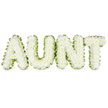 Here, a traditional letter tribute gently spells out AUNT in four strong capital letters, each letter deeply cushioned with tightly packed white chrysanthemum blooms. The flowers are arranged so closely together that the letters appear almost sculpted from petals, with a soft, rounded surface that looks both comforting and carefully finished. The white chrysanthemums carry a sense of calm purity and quiet farewell, much in keeping with the atmosphere of a Stanmore funeral or memorial gathering. Encircling the outer edge of every letter is a refined trim of fresh green foliage or ribbon, its cool tone tracing the outlines and adding definition without overwhelming the design. This green edging provides a natural contrast that makes the word stand out crisply against the simple, pale background, calling to mind the gentle greenery and open spaces dotted around Stanmore. The four letters stand in a neat row with even spacing, so the word AUNT is instantly recognisable and central to the composition. Everything about the design feels composed and restrained, as though crafted by an experienced florist from Flower Delivery Stanmore who knows how to channel family memories into flowers. There are no bright accents or extra flourishes; instead, the eye is drawn to the steady whiteness of the chrysanthemums and the calm frame of green. The result is an arrangement that feels sincere and deeply personal, a floral tribute that would rest gracefully by the coffin or graveside, quietly honouring the life and love of a cherished aunt through texture, tone, and thoughtful design.