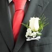 A close-up photograph shows the left lapel of a dark charcoal grey suit jacket, sharply tailored as if ready for a wedding at Stanmore Country Park or a smart reception along The Broadway. The wool-blend fabric has a smooth, slightly textured finish, with neat topstitching defining the lapel edge and a welt pocket just below. Centred in the frame is a single, creamy white rose boutonniere, pinned securely and sitting proudly against the deep grey. The rosebud is firm and velvety, its petals tightly furled yet beginning to unfurl at the tips, giving a sense of freshness and quiet anticipation. Around the rose, a soft halo of tiny white baby's breath forms a delicate, cloud-like collar, each miniature blossom crisp and star-shaped. Fine strands of bright green foliage and slightly broader, deeper green leaves fan out from behind, adding movement and a natural, garden-fresh feel that recalls early morning walks through Stanmore's leafy residential streets. The stems are bound neatly at the base with a slim white satin ribbon, tied into a small, precise bow that catches the light with a gentle sheen. Beneath the boutonniere, a light dress shirt in a subtle check or grid pattern peeks through, offering a refined texture that contrasts with the smoothness of the rose. A bold, solid red tie, likely in a satin or silk finish, runs vertically through the composition, its rich scarlet tone glowing warmly and lending drama to the scene. The overall mood is one of sincerity and timeless elegance, the kind of carefully chosen detail a groom or honoured guest in Stanmore might wear to mark a day when love, family, and tradition come together.