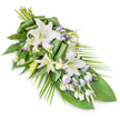 An elongated funeral spray is shown on a bright white background, its graceful diagonal form moving from a rounded, flower-rich top towards a fine, tapering point below. Dominating the arrangement are white oriental lilies, some fully opened so that their wide, velvety petals and central stamens are clearly visible, others still in refined buds that will open in their own time. Nestled among and around these lilies are clusters of white lisianthus, many with petals edged in a soft lavender or pale purple tone, along with rows of rounded buds that contribute to a layered, textured look. The overall effect is of a cool, calm palette with just a whisper of colour. Rich green foliage supports and frames the blooms, with broad, dark leaves giving depth and a sense of grounding, while long, slender fronds sweep out from the sides to echo the elongated, flowing silhouette of the spray. Some leaves have been artfully rolled and curled, adding a contemporary sculptural detail that speaks to the florist's experience. The design feels balanced and serene, like a tribute prepared in a Stanmore flower studio for a service at a local church on Marsh Lane or a crematorium a short drive away. Its white lilies, soft lisianthus, and generous greenery convey sympathy, reverence, and remembrance, making the spray suitable for resting atop a casket or displayed near a memorial space where family and friends gather to say goodbye in and around Stanmore.