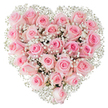 A densely packed heart of flowers fills the frame: dozens of soft pink roses, their petals ranging from whisper-pale blush to a slightly deeper rose tone, are arranged in a perfect, symmetrical heart against a pristine white background. The roses sit close together so their velvety forms create a luxuriant, cushion-like surface; some blooms are still tightly furled, others have begun to unfurl in delicate spirals, giving the composition a gentle rhythm of opening and promise. Interwoven through the roses are clouds of tiny white baby's breath (Gypsophila) that drift across the heart like fine lace, catching the bright studio light and adding an airy, almost ethereal contrast to the pink. The lighting is clean and luminous, highlighting the subtle sheen on each satin petal and the fine, feathery stems of the gypsophila, while the white backdrop keeps the focus entirely on the texture and colour of the blooms. There is a quiet, tender mood to the bouquet - a soft, romantic statement that reads as affection, remembrance, or a graceful celebration. As a florist who arranges for moments across Stanmore from houses near Stanmore Common to flats off Stanmore Broadway, I imagine this heart arriving gently wrapped, carrying a scent of fresh rose and a message of love. The craftsmanship shows in the meticulous placement of each spray of baby's breath and the even contour of the heart, making this arrangement suited to anniversaries, Valentine's gestures, wedding décor, or any occasion that calls for a thoughtful, intimate emblem of devotion.