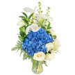 A tall, serene bouquet arranged in a clear glass tapered vase, set against a clean white background so every texture and tone reads clearly. At the heart of the design sits a generous, rounded cluster of deep, royal-blue hydrangeas whose velvety florets catch soft, studio light and form a cool, tactile focal point. Nestled around and below that blue core are creamy white roses, fully open with layered, velvety petals that suggest a faint, classic rose perfume and add a warm softness to the composition. Rising above the cluster are sculptural white calla lilies, their trumpet-shaped spathes smooth and almost porcelain in appearance, lending elegant vertical movement. Interspersed among the taller blooms are slim spires of white snapdragons or stock, their tiny tubular flowers creating spiky accents that whisper of whimsy and old garden borders. A mix of lush, dark green glossy leaves-reminiscent of salal or lemon leaf-frames the flowers, while delicate, feathery fern fronds cascade gently from the base, softening the vase edge and adding a light, garden-picked feeling. The stems are neatly gathered and visible through the clear water-filled glass, the clarity of the vase emphasizing freshness and careful craftsmanship. The overall mood is one of quiet sophistication and comfort: suitable as a sympathy tribute, a refined anniversary or birthday gift, or a striking centerpiece for a calm reception. As a Stanmore arrangement, it carries the subtle restraint and care one might expect near Bentley Priory and the quieter streets around Stanmore Station, made to offer solace or quiet celebration with gentle style.