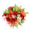 Seen from a gentle overhead angle against a clean white backdrop, this lavish hand-tied bouquet reads like a warm summer memory. At its centre, several large Asiatic lilies in a blazing orange-red command attention: some are fully open with recurved, speckled petals and visible stamens, others sit as graceful tapered buds promising more bloom. Ringing the lilies are deep crimson Gerbera daisies, their many radiating petals circling dark, almost black centres and adding a punch of textured colour. Soft, blush-pink roses tuck in between the bolder blooms, their smooth, velvety petals ranging from tight spirals to softly unfurling cups, yielding gentle romantic notes against the fiery tones. Small clusters of glossy red hypericum berries peek from the stems like bright little jewels, introducing a satiny, tactile contrast. The entire bouquet is filled out with abundant green foliage - broad solid leaves that form a rich backdrop, slender pointed lily foliage, and a few variegated leaves with light green and white streaks that create subtle movement across the composition. The lighting is bright and even, bringing out the warm saturation of the reds and oranges and the cool sheen on the berries. Texturally there is an interplay of papery lily petals, smooth rose surfaces, the waxy resilience of berries, and crisp greenery. This arrangement carries an upbeat, celebratory energy - ideal for marking anniversaries, birthdays, or simply brightening a table - and it reads as the kind of bouquet a local Stanmore florist might prepare when a customer asks for something vivid, elegant, and full of personality.