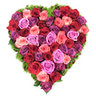 From an overhead vantage the image presents a perfectly symmetrical heart, formed by a dense mosaic of fully opened roses that read like a painter's palette - deep crimson and wine-burgundy sit beside classic scarlet, while soft blush and coral pinks melt into vibrant fuchsia and magenta. Scattered through the composition are cooling purple notes: pale lavender, delicate mauve and richer plum that give the piece depth and a quietly noble tone. Each rose blooms at its peak, velvet petals layered in tight spirals with gently curled edges; the surface appears plush and tactile, as if a hand could sink into petals warmed by soft morning light. Around the entire perimeter a fine, dark-green border of fern-like foliage and mossy material frames the heart, the verdant rim peeking between blooms and lending a fresh, earthy contrast that helps define the silhouette. The arrangement is arranged edge-to-edge with no gaps, creating a bountiful, textured plane of colour that reads equally as a declaration of love or a dignified token of remembrance. The scent, though unseen, seems implied - an earthy, honeyed perfume of roses that would hang in the air of a quiet Stanmore parlour near Stanmore Common or the tubes by the High Street. As a local florist I imagine this piece placed on a mantel or chapel table, offering comfort, celebration or devoted memory; its craftsmanship speaks to careful hands and intention, a floral statement both intimate and ceremonial for occasions from anniversaries to heartfelt condolence.